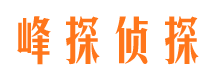 任县市婚外情调查